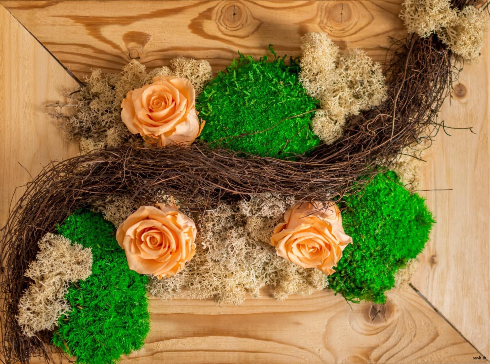 Machový obraz Salamander