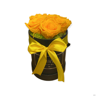 Trvácne ruže v boxe žlté - flowers