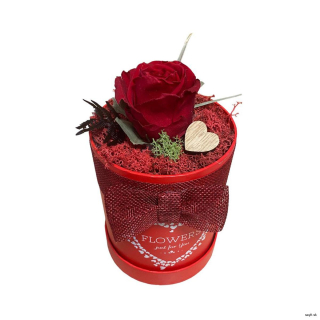 Trvácna ruža v boxe červená