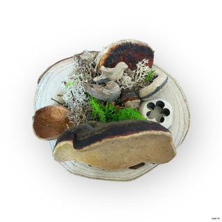 Forest prírodný aranžmán