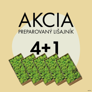 Akcia 4+1 Mach preparovaný lišajník 2,5 KG