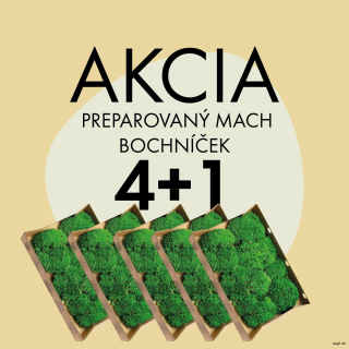Akcia 4+1 Mach preparovaný bochníčkovy 2,5 KG