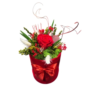 Trvácna ruža v boxe červená mašľa