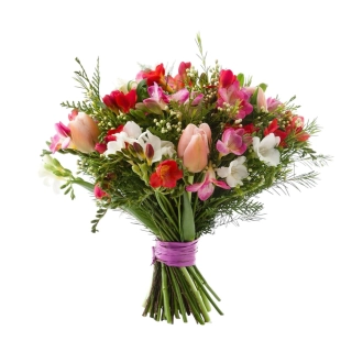 Harmónia farieb tulipány, frézie a alstromérie