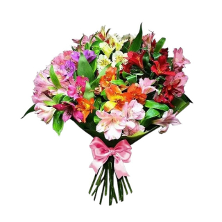 Kolorit kytica alstromérií