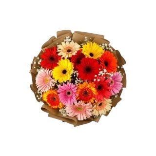 Kolorit Kytica gerbier mix farieb a gypsomilka