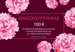 Darčekový voucher 100 €