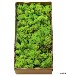 Mach preparovaný lišajník 500g - Grass green light 